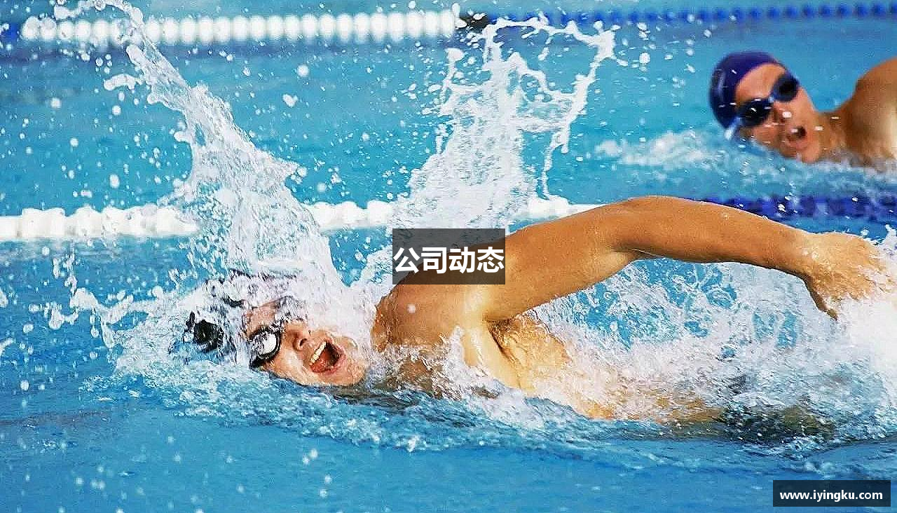 公司动态